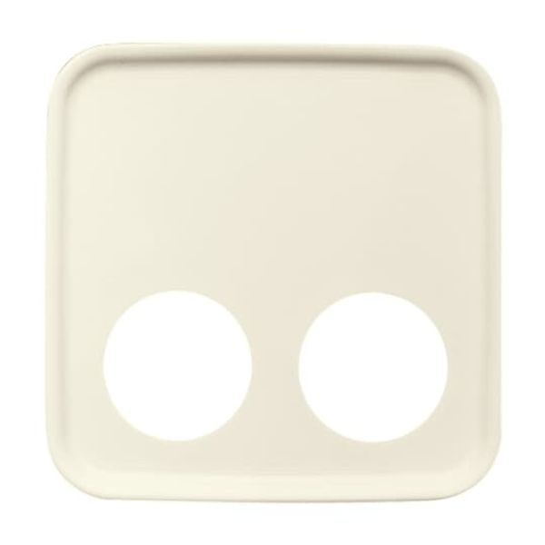 2548-020 D-212 CoverPlates (partly incl. Insert) Data communication White image 2