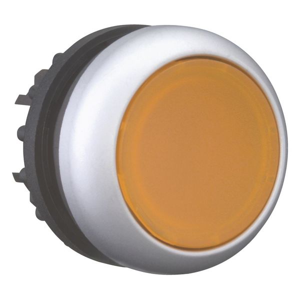 Illuminated pushbutton actuator, RMQ-Titan, Flush, maintained, orange, Blank, Bezel: titanium image 13