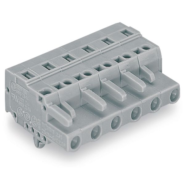 1-conductor female connector CAGE CLAMP® 2.5 mm² gray image 3