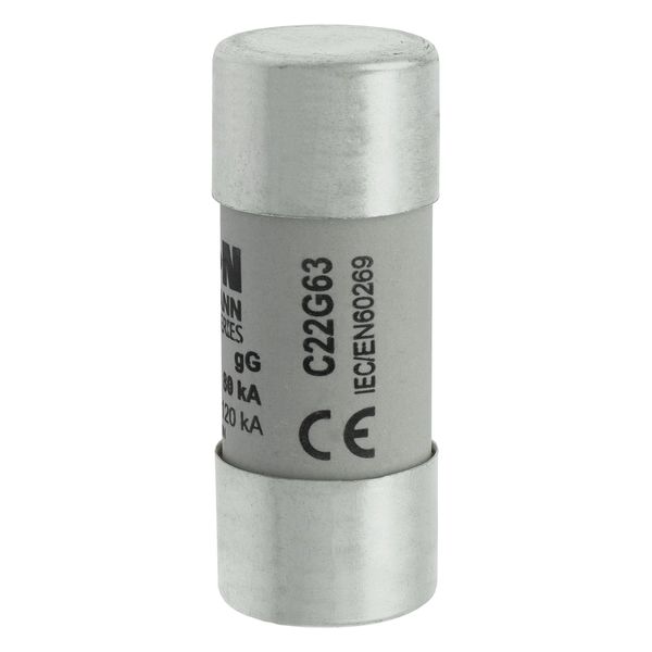 Fuse-link, LV, 63 A, AC 690 V, 22 x 58 mm, gL/gG, IEC image 8