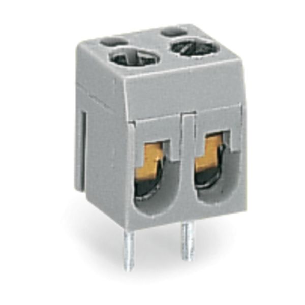 PCB terminal block 2.5 mm² Pin spacing 10 mm gray image 1