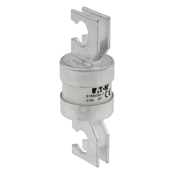 Utility fuse-link, LV, 315 A, AC 415 V, BS88/J, 38 x 110 mm, gL/gG, BS, 82mm fixing centres image 36