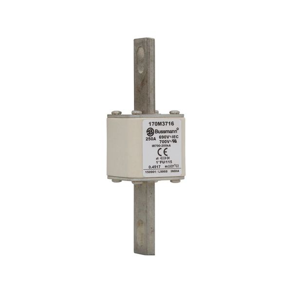 Fuse-link, high speed, 250 A, AC 690 V, compact size 1, 45 x 45 x 148 mm, aR, IEC, UL image 6