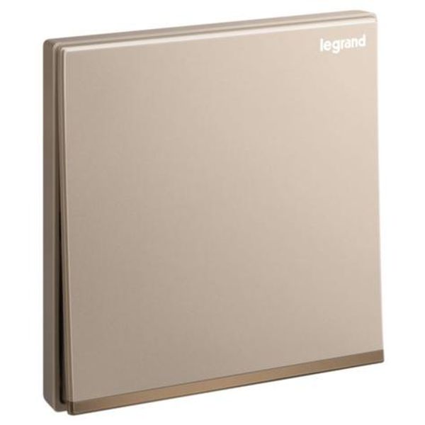 Galion - 1 gang 1 way switch 16AX - Rose Gold image 1