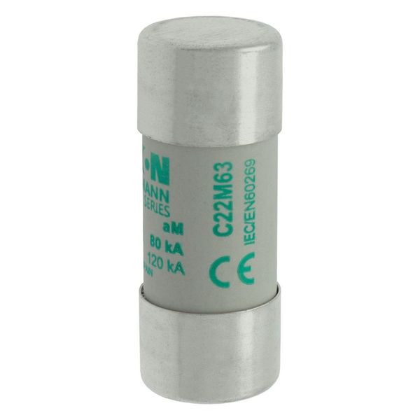 Fuse-link, LV, 63 A, AC 690 V, 22 x 58 mm, aM, IEC image 18