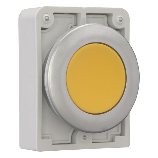 Pushbutton, RMQ-Titan, Flat, maintained, yellow, Blank, Metal bezel image 7