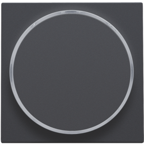 Finishing set with transparent ring without symbol for 6A push button image 1