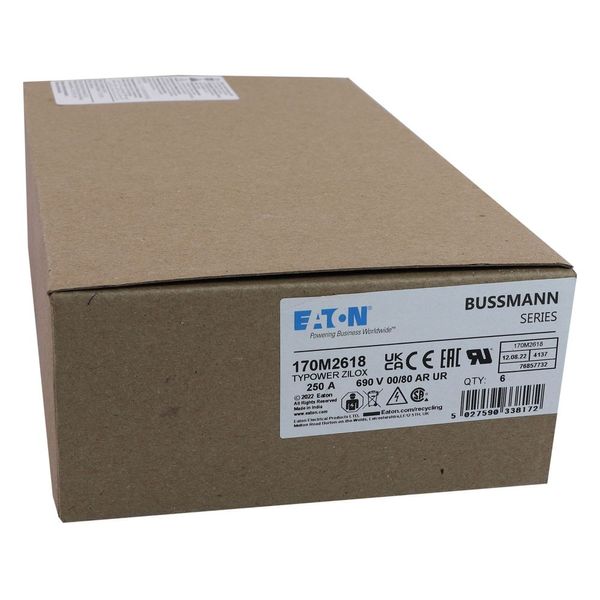 Fuse-link, high speed, 250 A, AC 690 V, DIN 00, 30 x 51 x 100 mm, aR, DIN, IEC, single indicator image 13