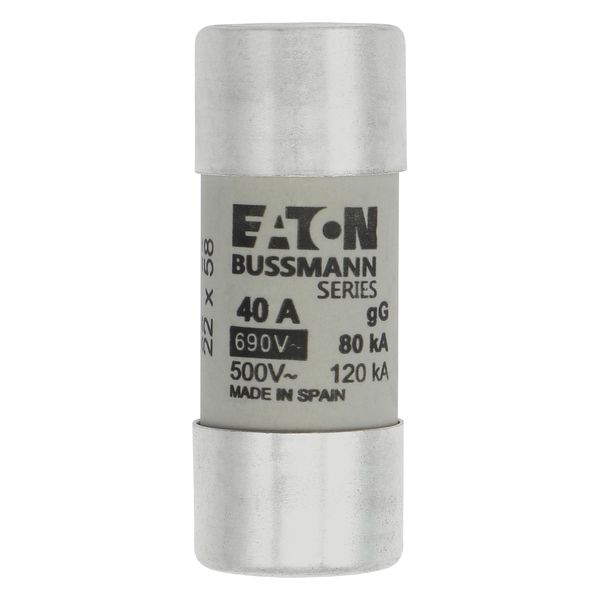 Fuse-link, LV, 40 A, AC 690 V, 22 x 58 mm, gL/gG, IEC image 4