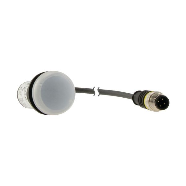 Indicator light, Flat, Cable (black) with M12A plug, 4 pole, 0.5 m, Lens white, LED white, 24 V AC/DC image 16