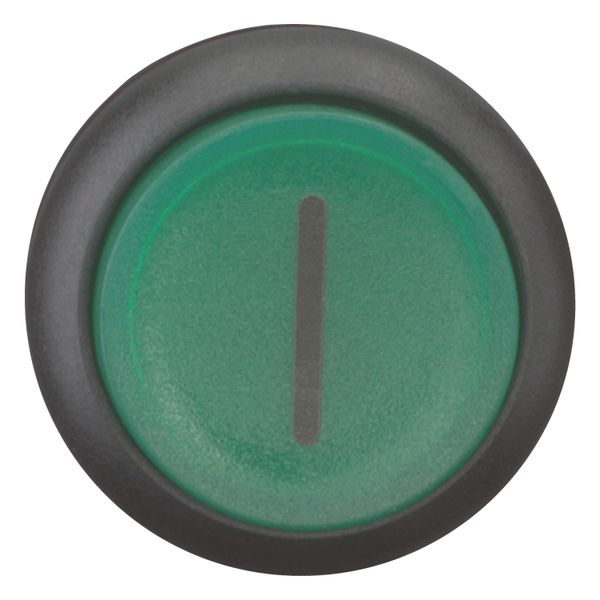 Illuminated pushbutton actuator, RMQ-Titan, Extended, momentary, green, inscribed, Bezel: black image 5