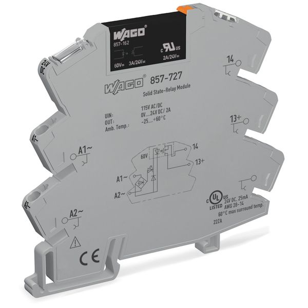 Solid-state relay module Nominal input voltage: 115 V AC/DC Output vol image 2