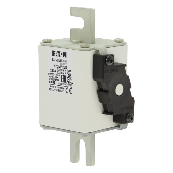 Fuse-link, high speed, 250 A, AC 1250 V, size 2, 61 x 77 x 138 mm, aR, DIN, IEC, single indicator image 5