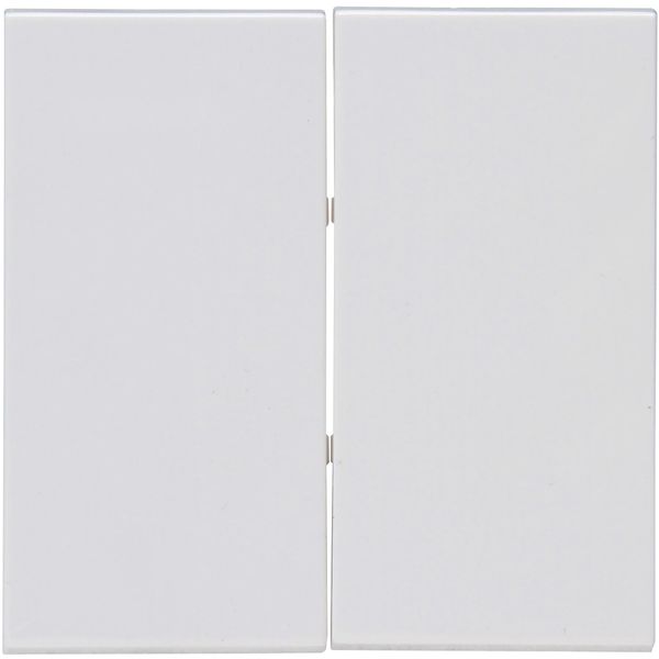 Double Rocker pad image 1