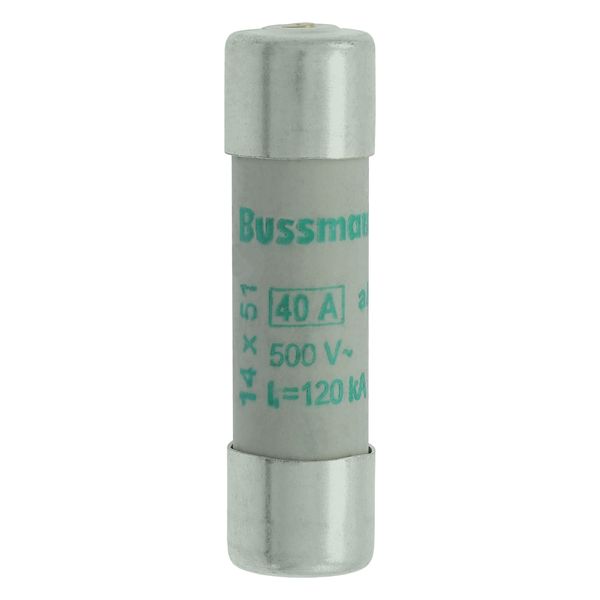 Fuse-link, LV, 40 A, AC 500 V, 14 x 51 mm, aM, IEC, with striker image 12