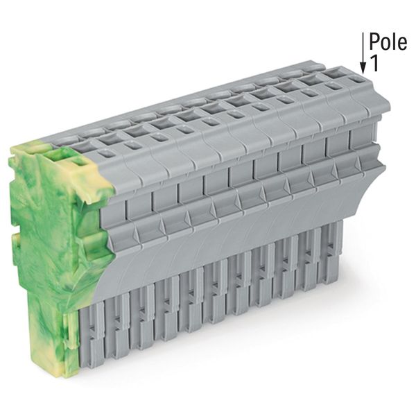 1-conductor female connector Push-in CAGE CLAMP® 4 mm² gray image 3