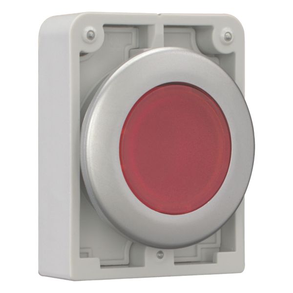 Illuminated pushbutton actuator, RMQ-Titan, Flat, maintained, red, Blank, Metal bezel image 7