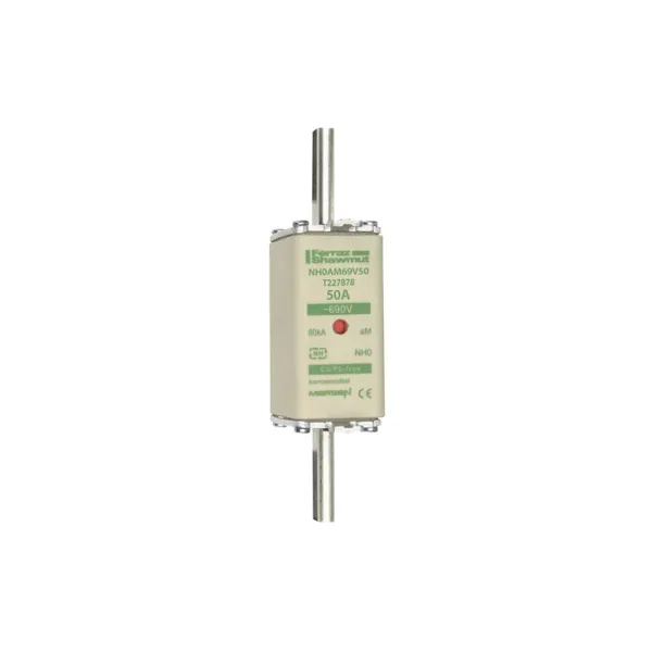 Fuse-link NH0 aM 690VAC 50A live tags Double indicator image 2