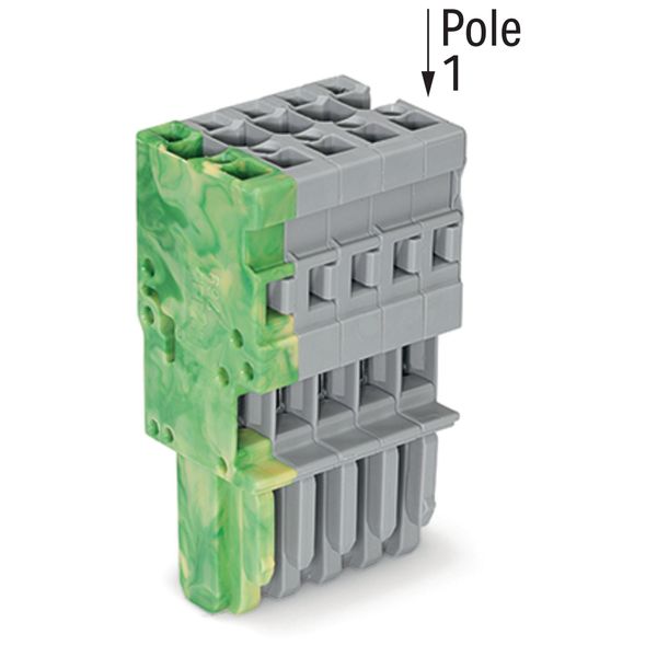 1-conductor female connector CAGE CLAMP® 4 mm² gray, green-yellow image 2