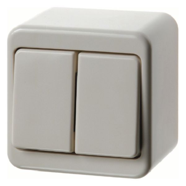 Surf.-mtd double change-over switch, isolated input term., surf.-mtd,  image 1