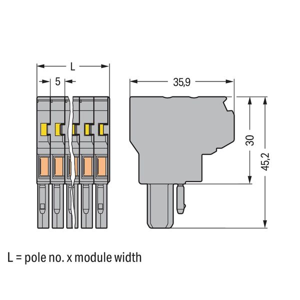 2-conductor female connector CAGE CLAMP® 4 mm² gray image 2