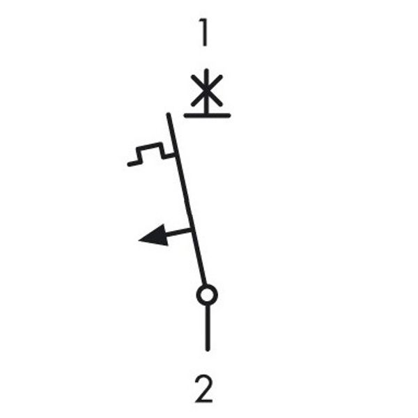 Miniature Circuit Breaker (MCB) AMPARO 10kA, C 1A, 1-pole image 8