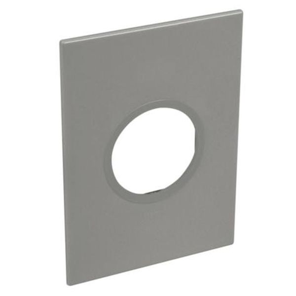 American and South African standard plate Arteor round version 2 modules for 2'' x 4'' box - magnesium image 1