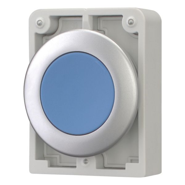 Pushbutton, RMQ-Titan, Flat, momentary, Blue, Blank, Metal bezel image 2