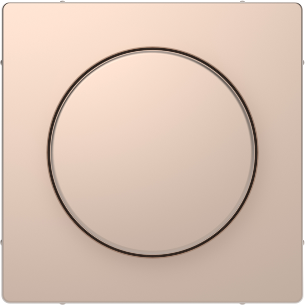 Central plate with rotary knob, champagne metallic, System Design image 4