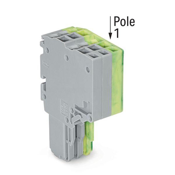 2-conductor female connector Push-in CAGE CLAMP® 1.5 mm² gray, green-y image 2