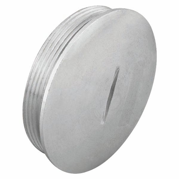 CLOSURE CAP - IN NICKEL PLATED BRASS - PG11 - IP65 image 2