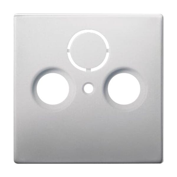 1758-866 CoverPlates (partly incl. Insert) pure stainless steel Stainless steel image 3