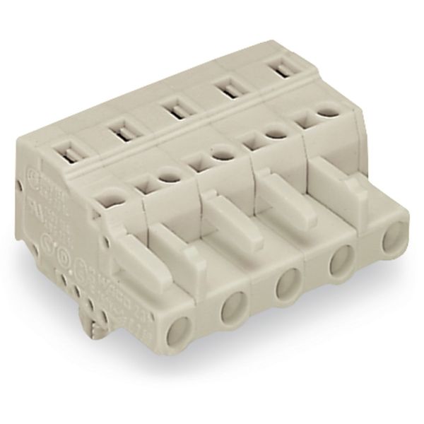 1-conductor female connector CAGE CLAMP® 2.5 mm² light gray image 3