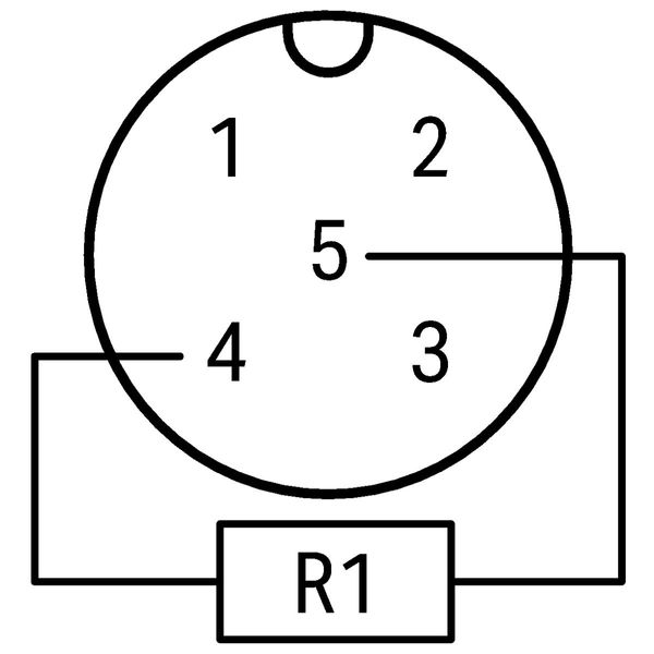 Accessories M12 plug, axial 5-pole image 5