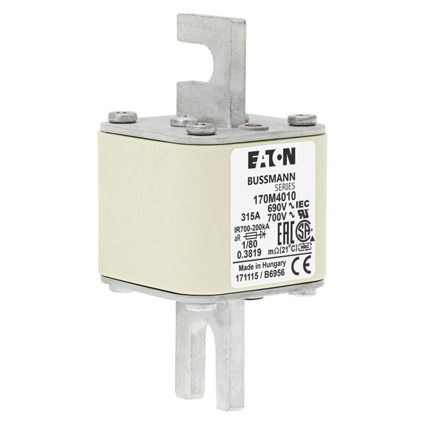 Fuse-link, high speed, 315 A, AC 690 V, DIN 1, 53 x 53 x 108 mm, aR, DIN, IEC, single indicator image 10