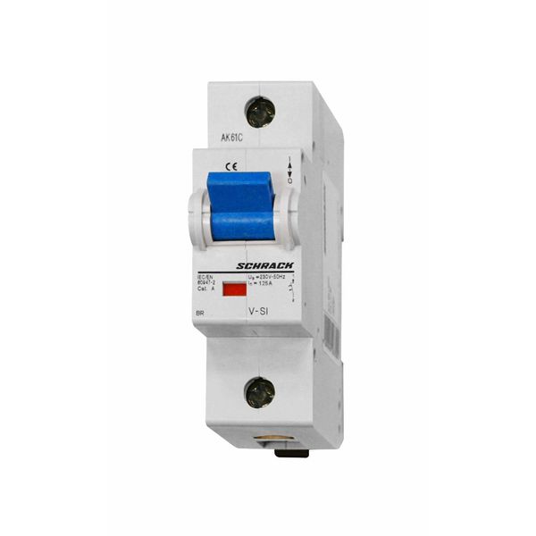 High Current Miniature Circuit Breaker C125/1, 10kA image 1