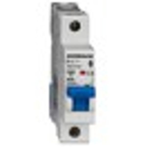 Miniature Circuit Breaker (MCB) AMPARO 10kA, B 4A, 1-pole image 8