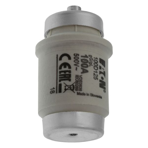 Fuse-link, LV, 100 A, AC 500 V, D4, gL/gG, IEC, time-delay image 13