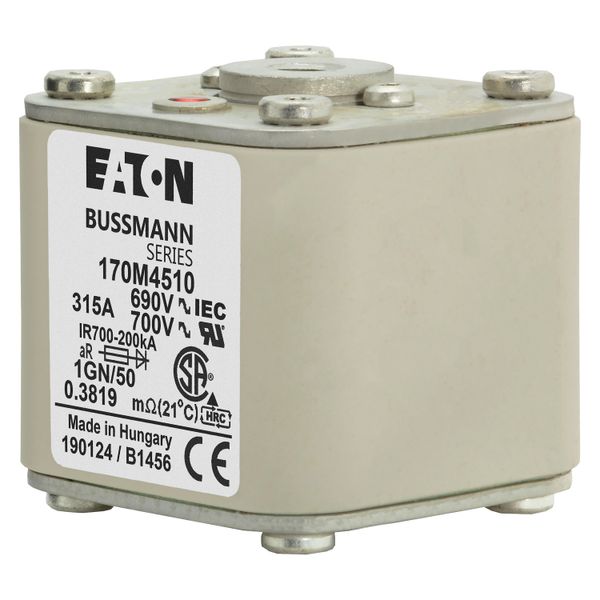 FUSE 315A 690V 1GN/50 AR UC image 1