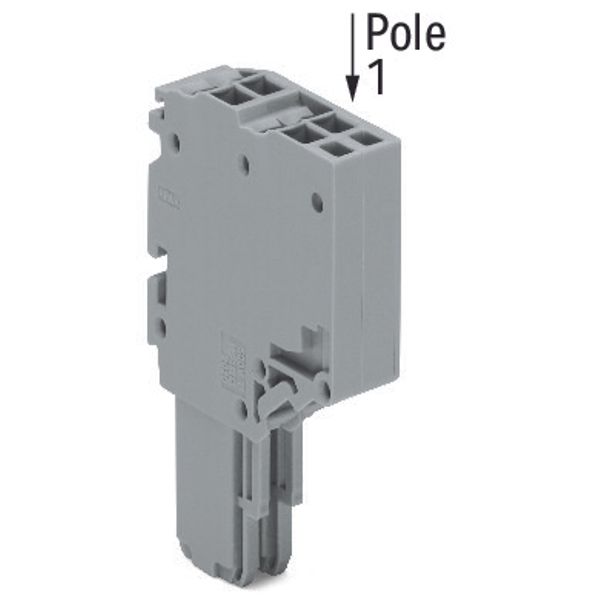 2-conductor female connector;1.5 mm²;2-pole;gray image 1