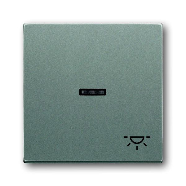 1789 LI-803 CoverPlates (partly incl. Insert) Busch-axcent®, solo® grey metallic image 1