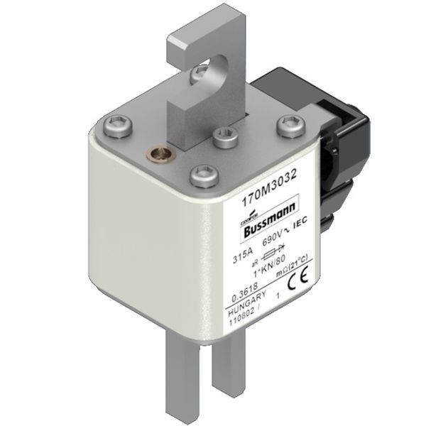 Fuse-link, high speed, 315 A, AC 690 V, compact size 1, 43 x 60 x 110 mm, aR, DIN, IEC, single indicator image 2