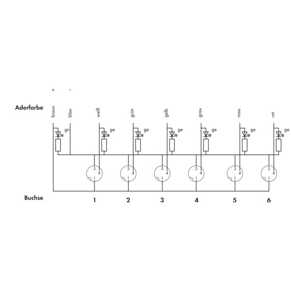 M8 sensor/actuator box 6-way 3-pole image 5