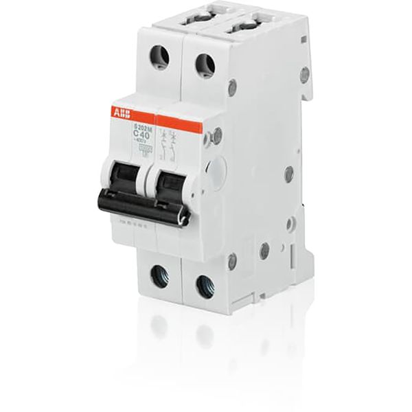 S202M-C16 Miniature Circuit Breaker - 2P - C - 16 A image 1