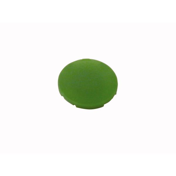 Button plate, flat green, blank image 1