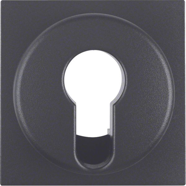 Centre plate for key switch/key push-button, B.3/B.7, ant., matt image 1