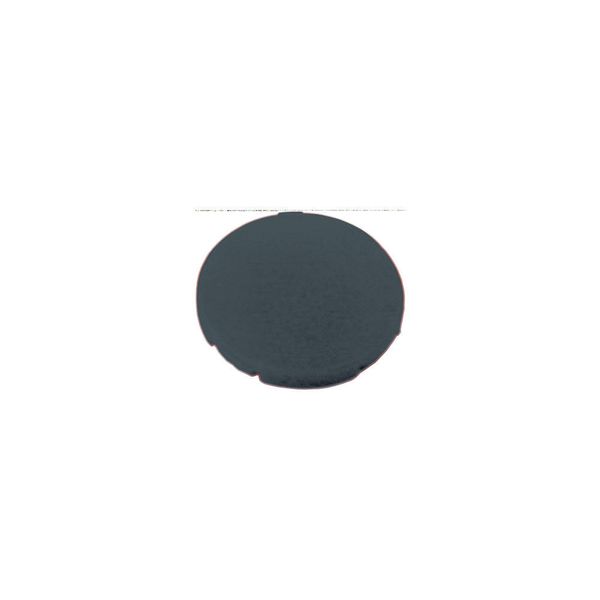 Button plate, flat black, blank image 2