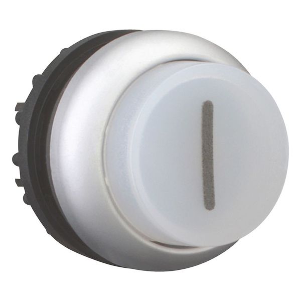 Illuminated pushbutton actuator, RMQ-Titan, Extended, momentary, White, inscribed 1, Bezel: titanium image 11