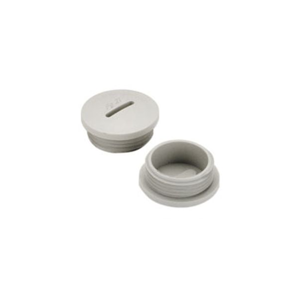 Sealing plugs (plastic), PG 48, 12 mm image 1