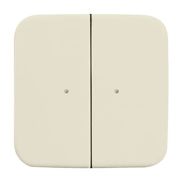 6732-212 CoverPlates (partly incl. Insert) carat® White image 2